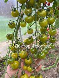 IMG_5996.jpeg