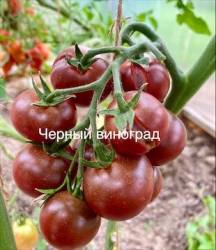 IMG_5998.jpeg