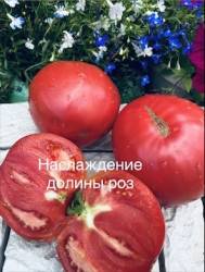 IMG_6001.jpeg
