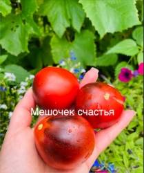 IMG_6002.jpeg