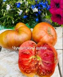 IMG_6003.jpeg