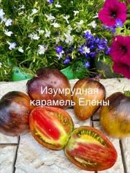 IMG_6004.jpeg