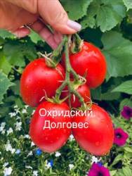 IMG_6005.jpeg