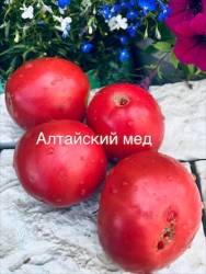 IMG_6006.jpeg