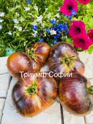 IMG_6011.jpeg