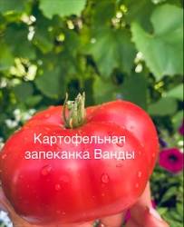 IMG_6014.jpeg