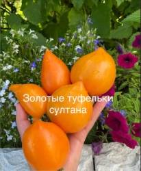 IMG_6015.jpeg