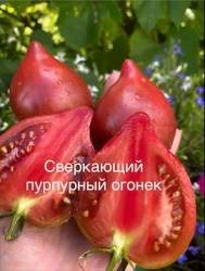 IMG_6016.jpeg