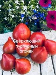 IMG_6017.jpeg