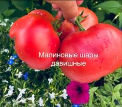 IMG_6019.jpeg