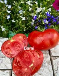IMG_6021.jpeg