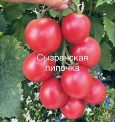 IMG_6023.jpeg