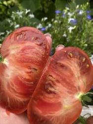IMG_6025.jpeg