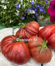 IMG_6026.jpeg