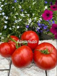 IMG_6028.jpeg