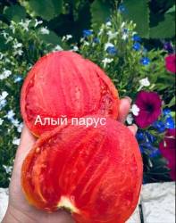 IMG_6030.jpeg