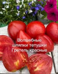 IMG_6031.jpeg