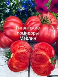 IMG_6046.jpeg