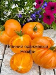 IMG_6049.jpeg