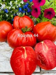 IMG_6051.jpeg