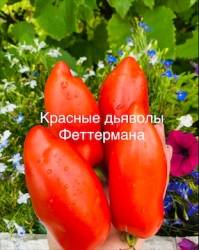 IMG_6052.jpeg