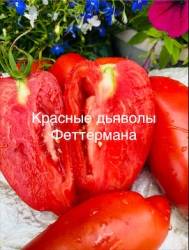 IMG_6053.jpeg