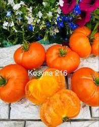 IMG_6054.jpeg