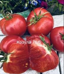 IMG_6055.jpeg