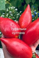 IMG_6057.jpeg