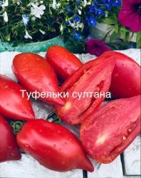 IMG_6058.jpeg