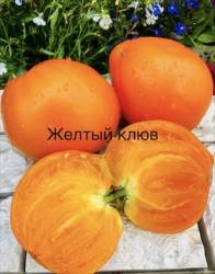 IMG_6059.jpeg