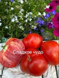 IMG_6060.jpeg