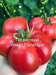 IMG_6062.jpeg