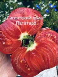 IMG_6063.jpeg