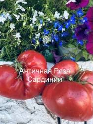 IMG_6064.jpeg