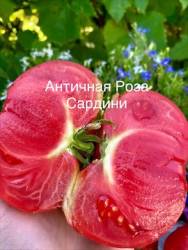 IMG_6065.jpeg