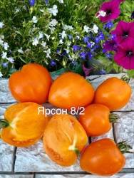 IMG_6067.jpeg