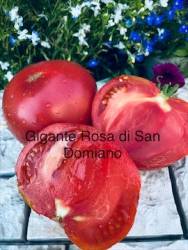 IMG_6070.jpeg