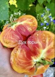 IMG_6072.jpeg