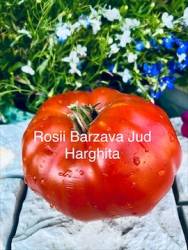 IMG_6075.jpeg