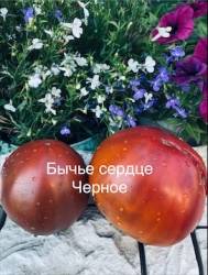 IMG_6077.jpeg