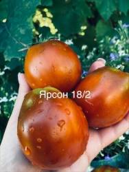 IMG_6079.jpeg