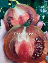 IMG_6080.jpeg