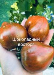 IMG_6081.jpeg