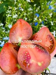 IMG_6082.jpeg