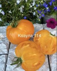 IMG_6083.jpeg