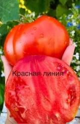 IMG_6085.jpeg