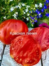 IMG_6086.jpeg