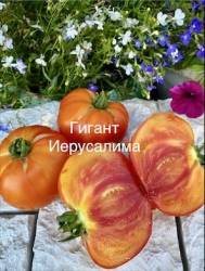 IMG_6087.jpeg