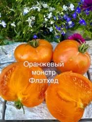 IMG_6088.jpeg